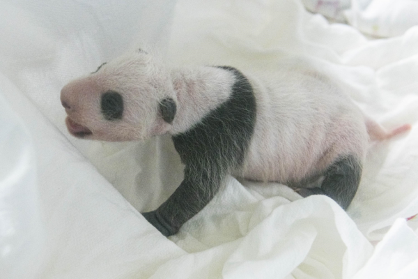 주석 2020-08-24 091233.png