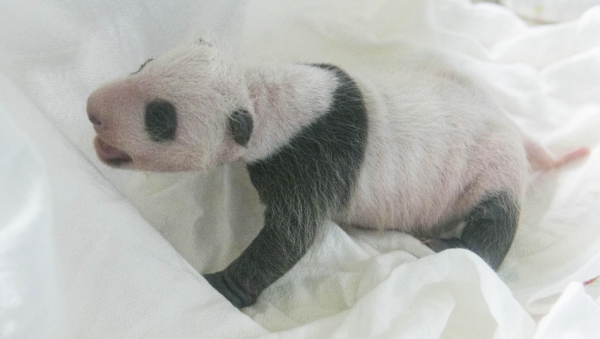 주석 2020-08-24 091233.png