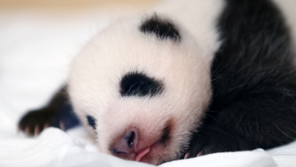 주석 2020-09-10 214929.png