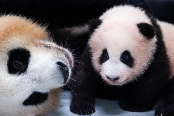 화면 캡처 2020-11-05 105642.jpg