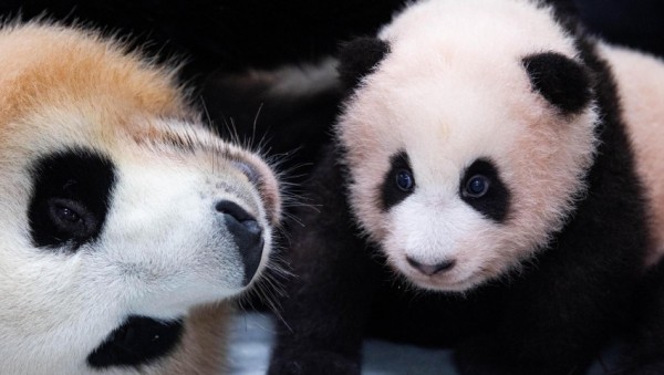 화면 캡처 2020-11-05 105642.jpg