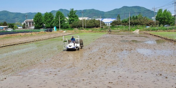 [크기변환]1. 220615_용인시, 백옥쌀 생산단지 농업인 747명 대상 찾아가는 교육 진행_사진(1).jpg