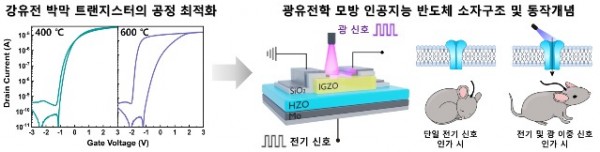 (참고)+인공지능+반도체+소자+구조+및+개념도.jpg