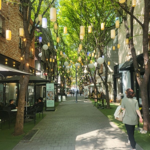 5. 보정동카페거리 전경.jpg