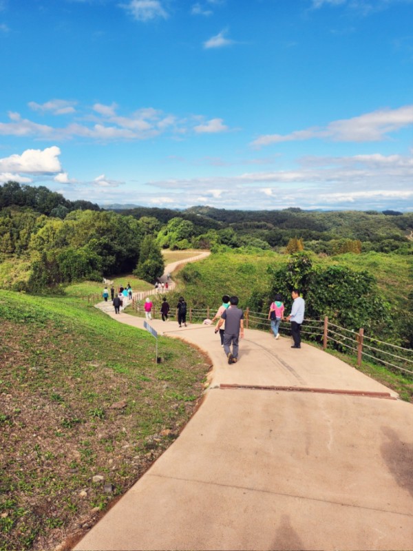 산보 프로그램 사진-1.jpg