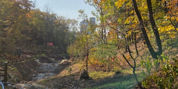 1-1. 용인특례시가 수지구 죽전동에 조성한 도시 숲 모습.jpg
