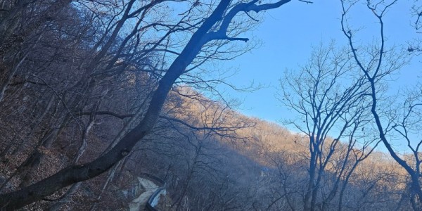 5. 용인특례시, 석성산 숲길 정비사업 마무리.jpg